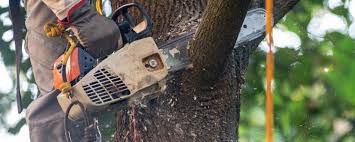Best Lawn Irrigation Installation and Maintenance  in Sumas, WA