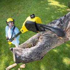 Best Lawn Watering Services  in Sumas, WA