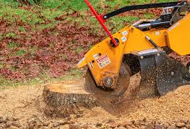 Best Weed Control  in Sumas, WA