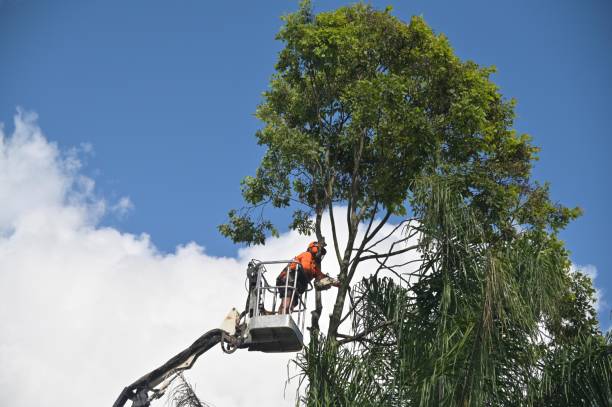 Best Soil Testing and Treatment  in Sumas, WA